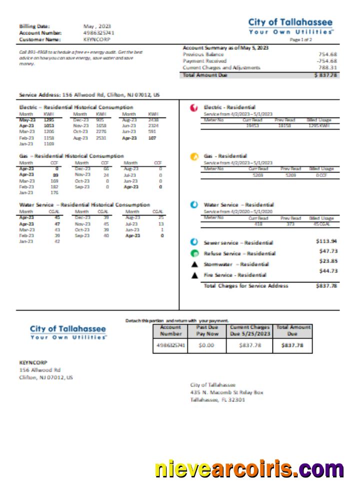 Florida City of Tallahassee Florida Your Own Utilities business bill